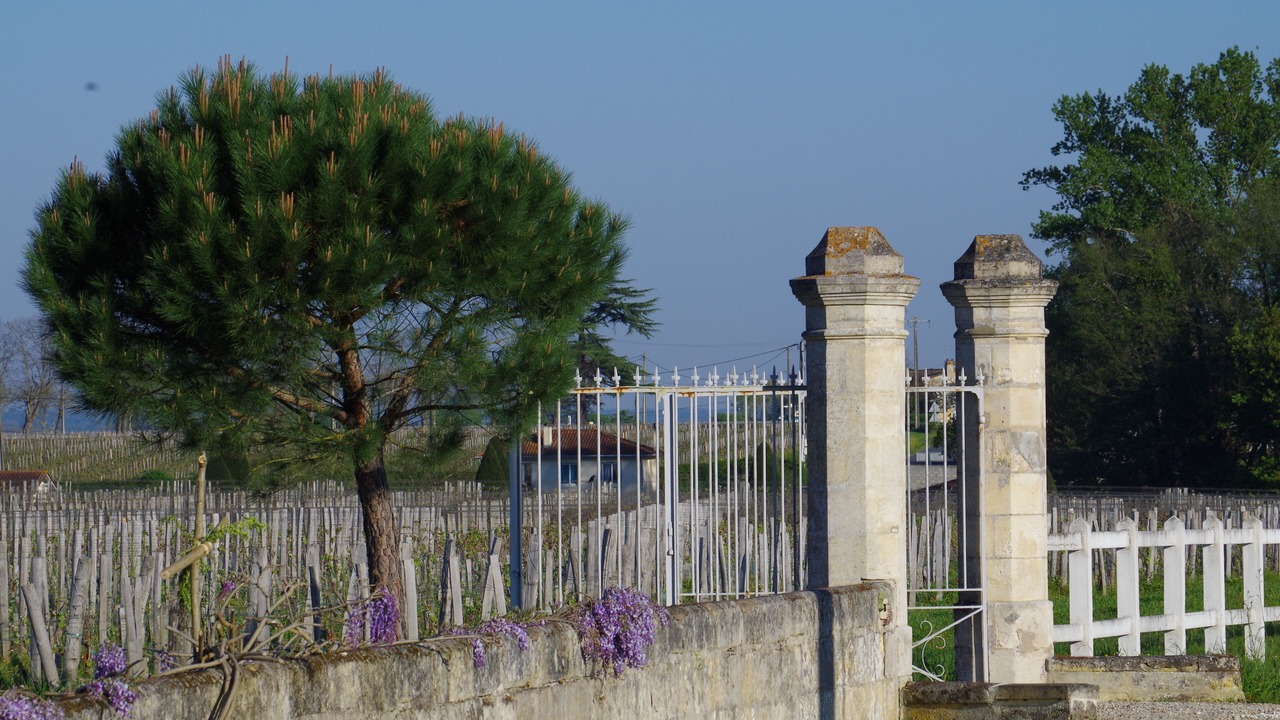 Photo of Outdoor in Neac