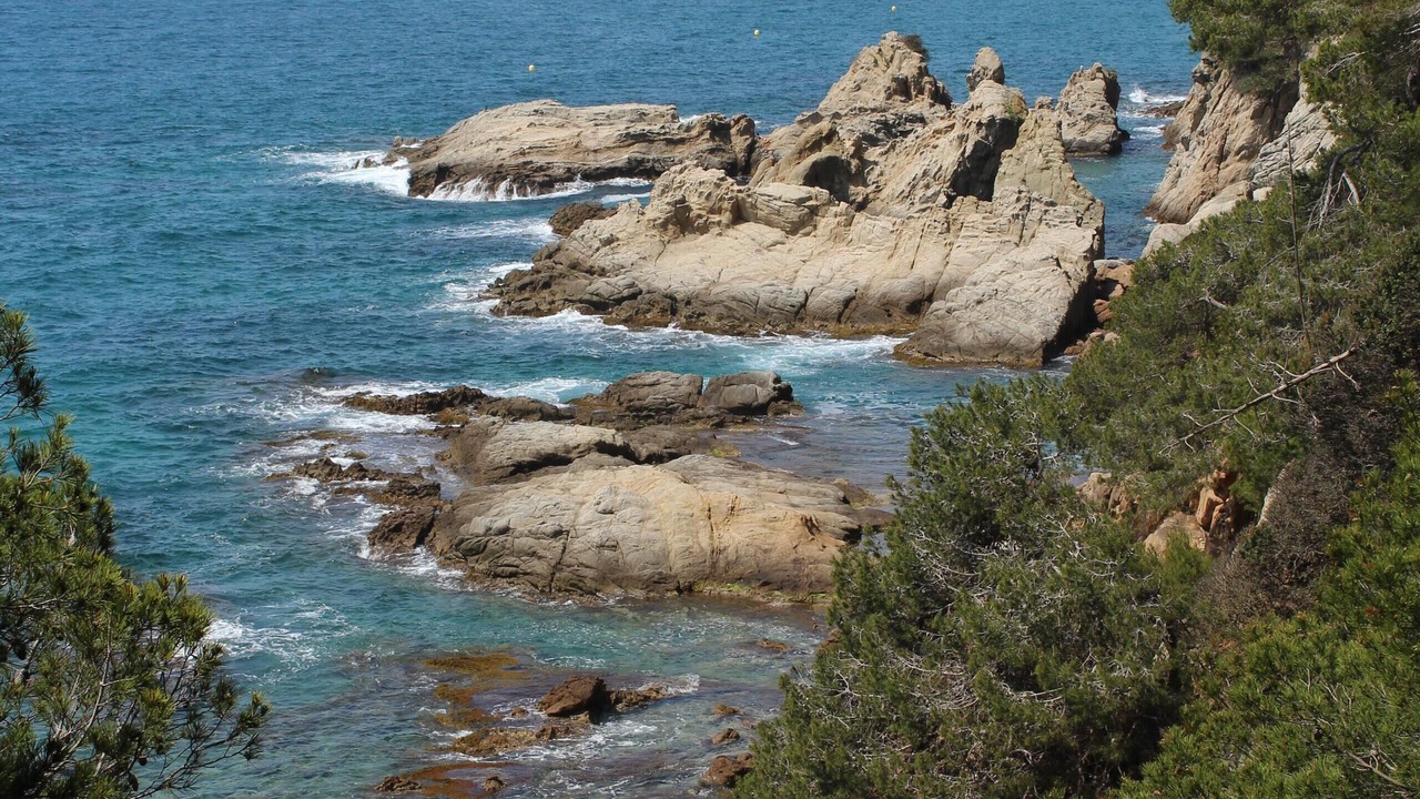 Photo of Others in Lloret de Mar