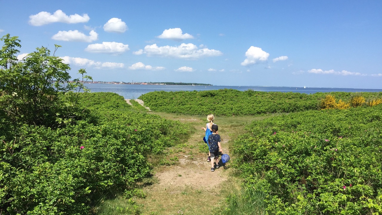 Photo of Others in Ronbjerg