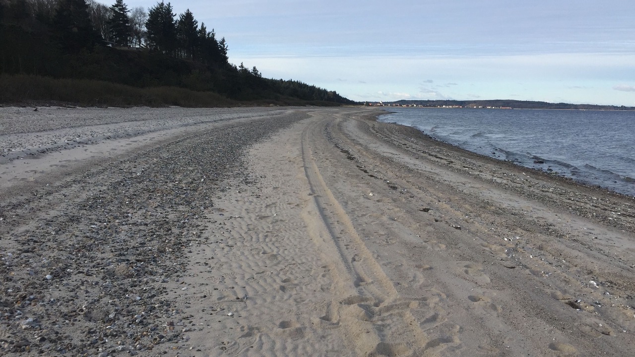 Photo of Others in Ronbjerg