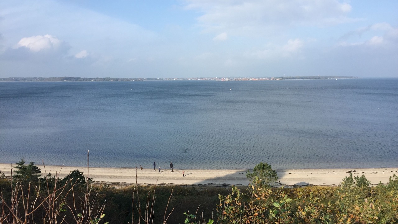 Photo of Others in Ronbjerg