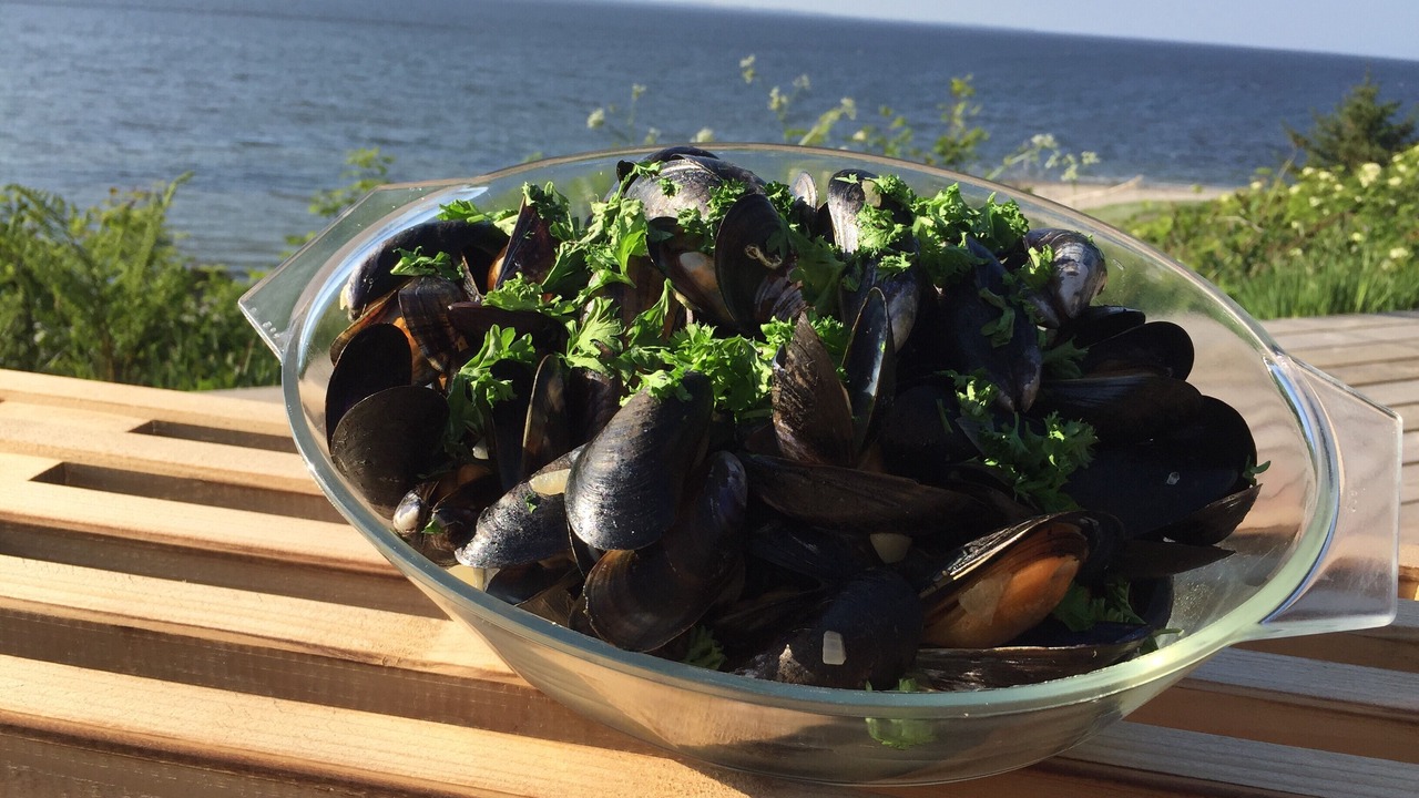 Photo of Outdoor in Ronbjerg