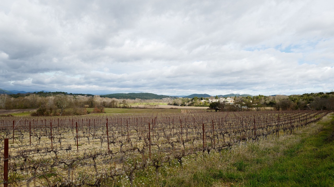 Photo of Outdoor in Sardan