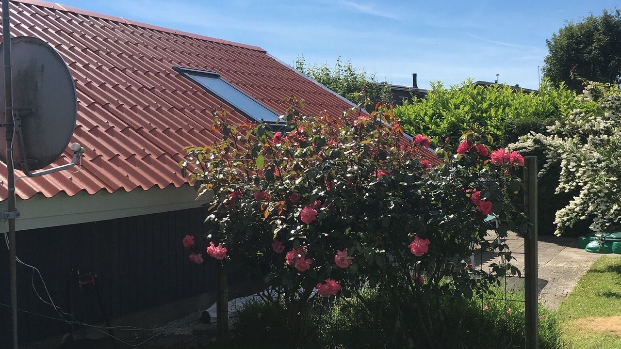 Photo of Outdoor in Kerteminde