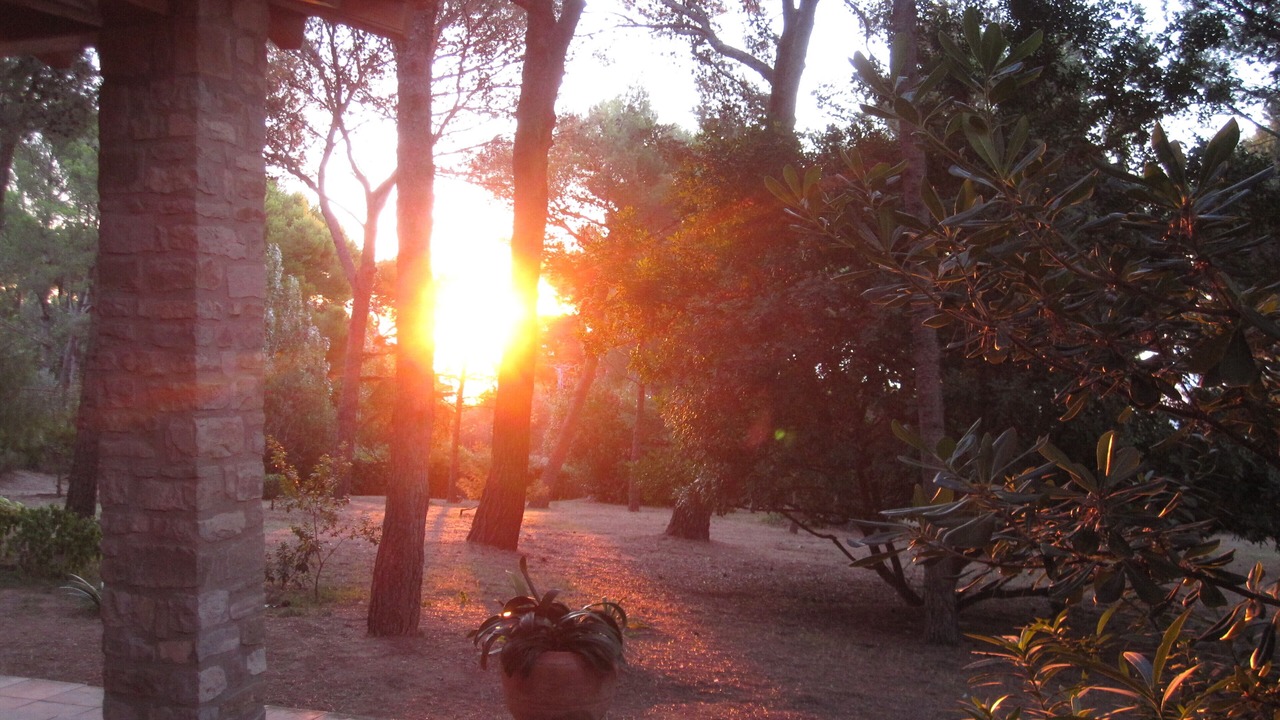 Photo of Outdoor in Aiguablava