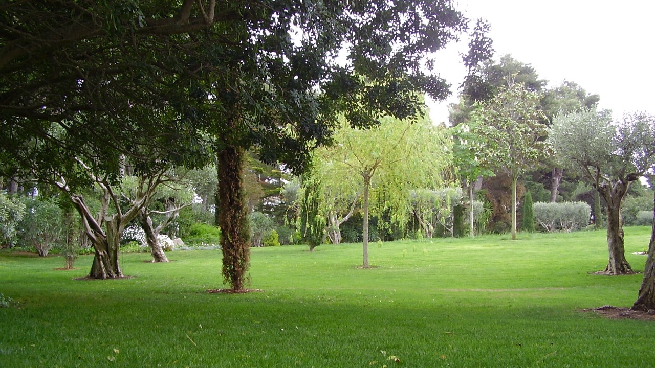 Photo of Outdoor in Aiguablava