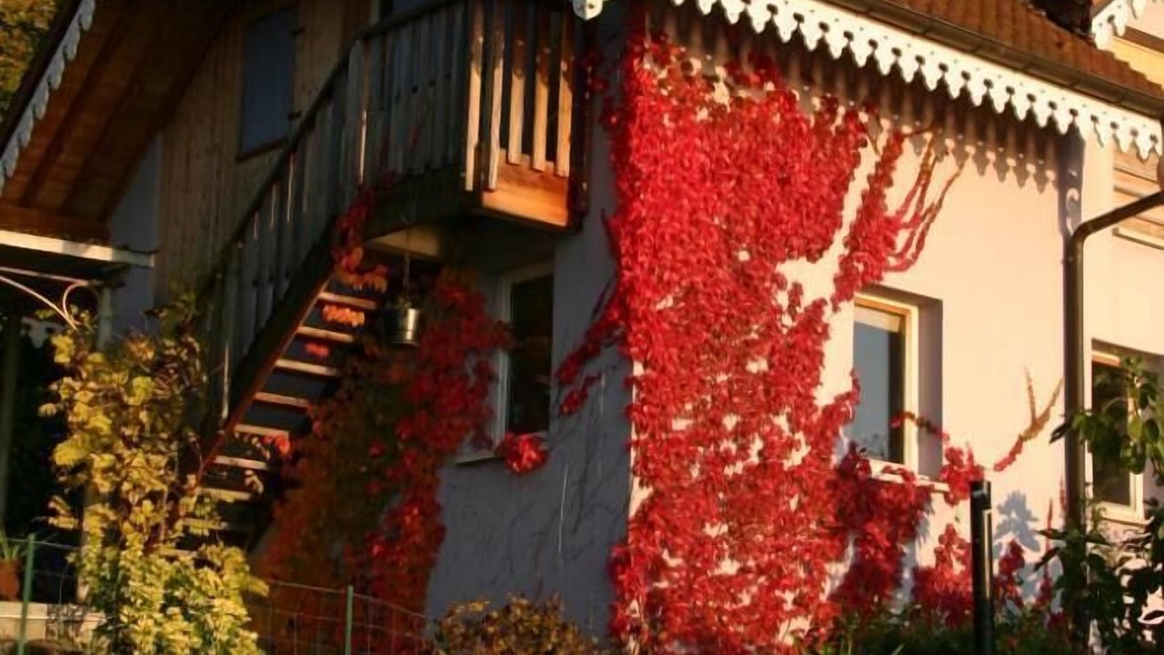 Photo of Others in Aiguebelette-le-Lac
