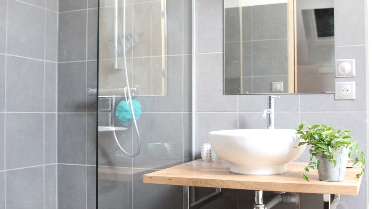 Photo of Bathroom in Aiguebelette-le-Lac