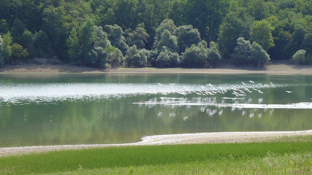 Photo of Outdoor in Cabas-Loumasses