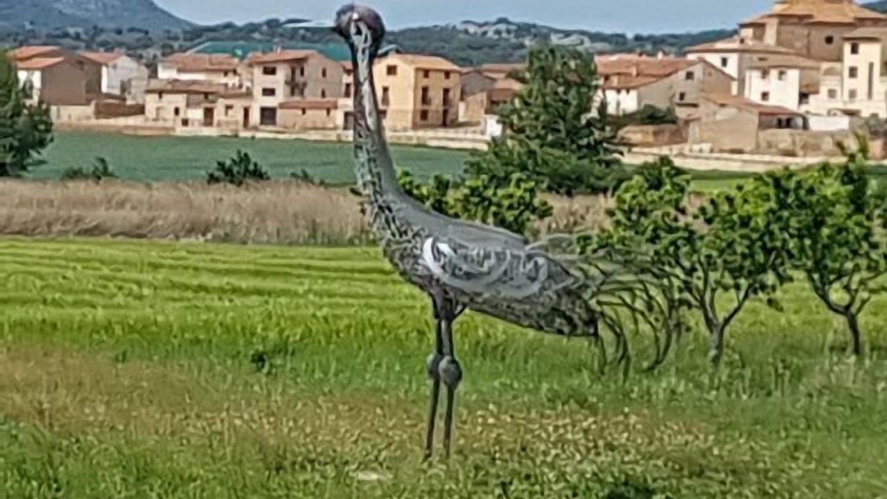 Photo of Outdoor in Gallocanta