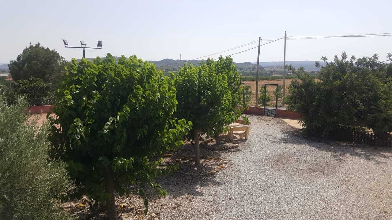 Photo of Outdoor in Santomera