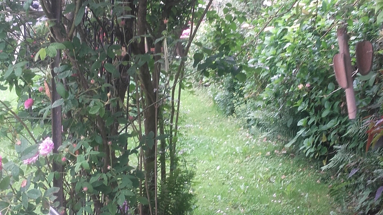 Photo of Outdoor in Saint-Brieuc