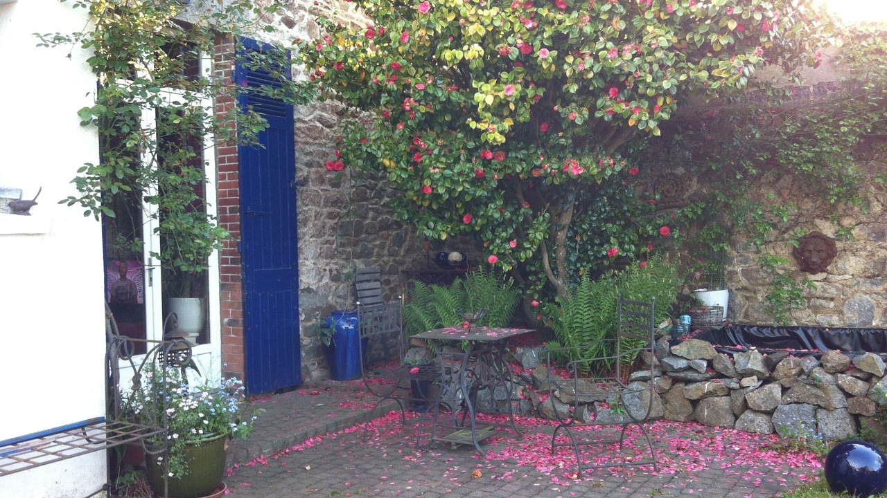 Photo of Outdoor in Saint-Brieuc