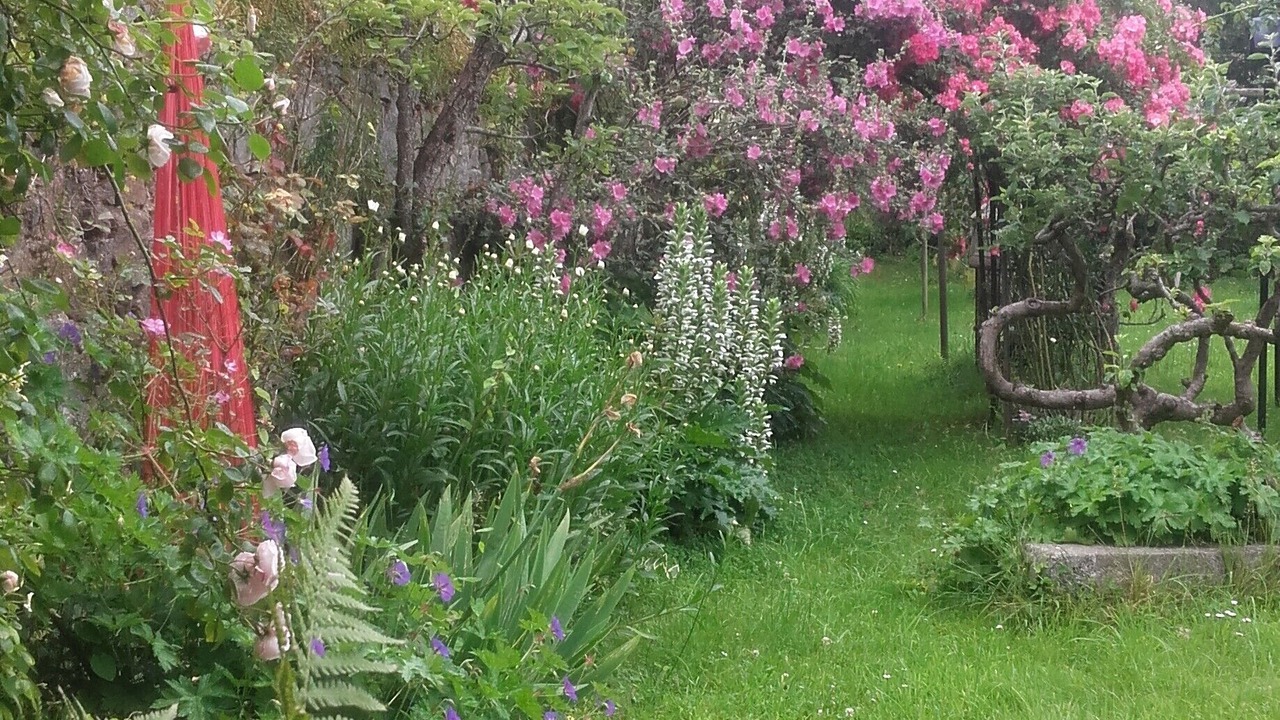 Photo of Outdoor in Saint-Brieuc