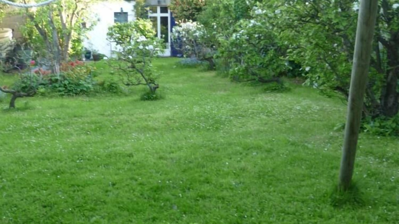 Photo of Outdoor in Saint-Brieuc