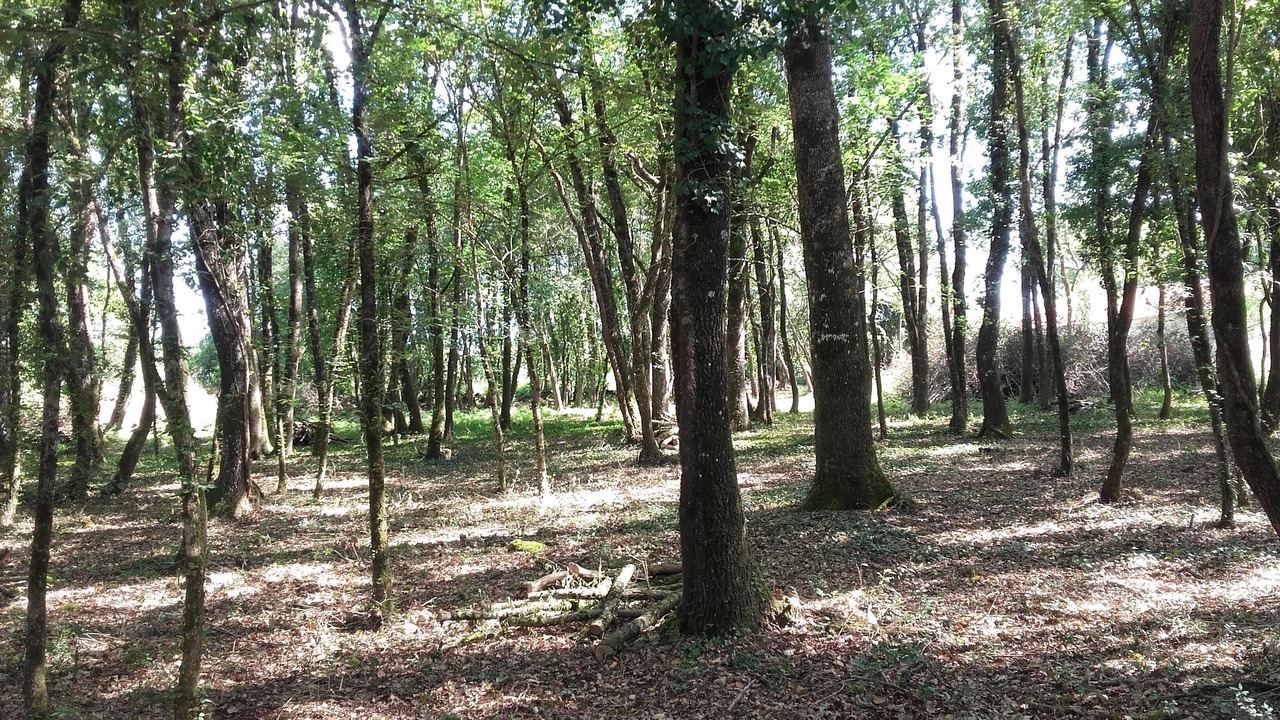 Photo of Outdoor in La Bussiere