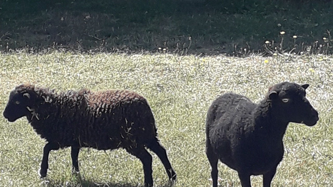 Photo of Outdoor in La Bussiere