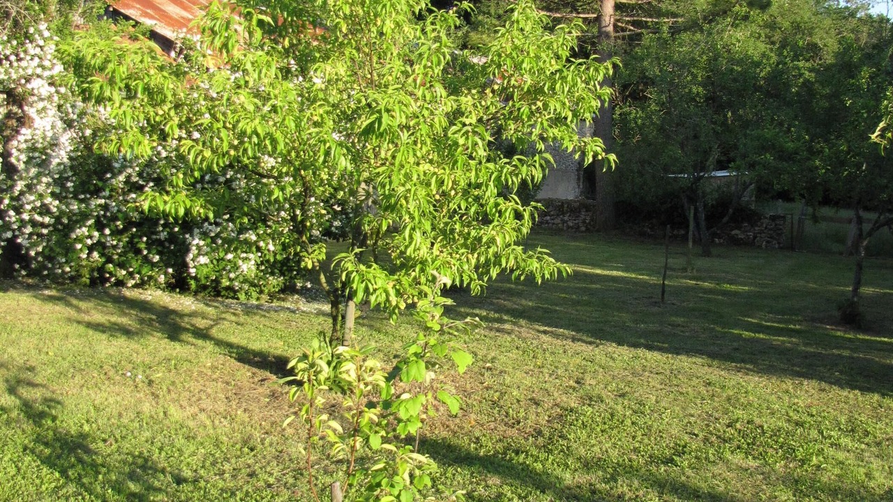 Photo of Outdoor in La Bussiere