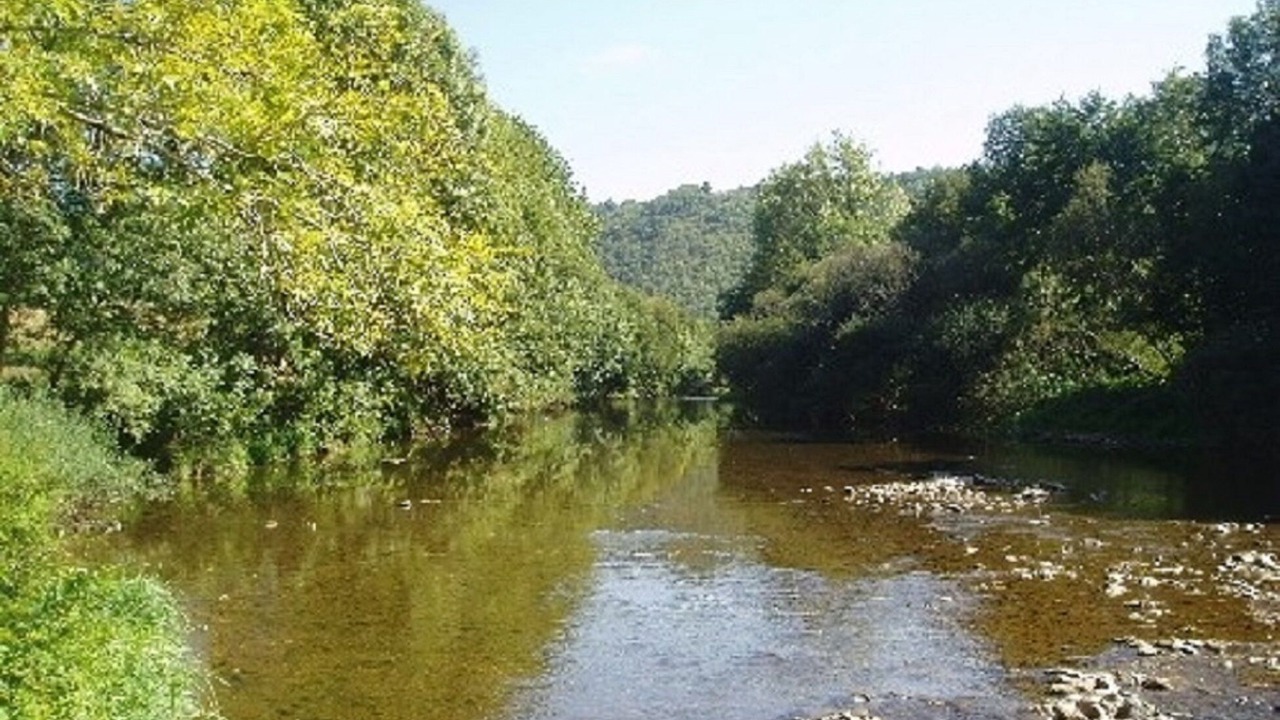 Photo of Others in Pampelonne