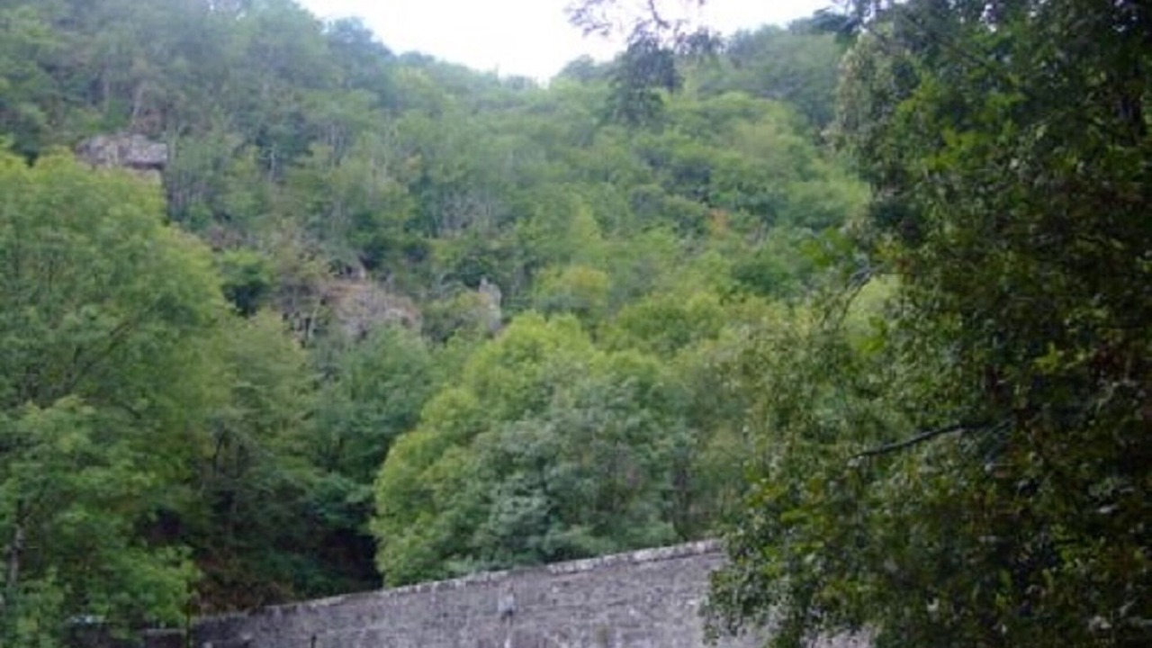 Photo of Others in Pampelonne