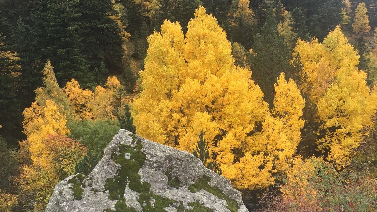 Photo of Outdoor in Boi