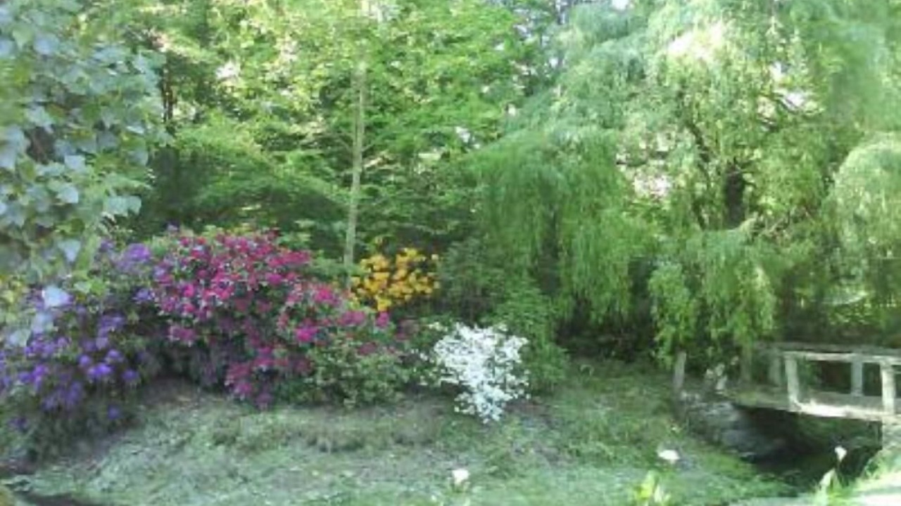 Photo of Outdoor in Miniac-Morvan