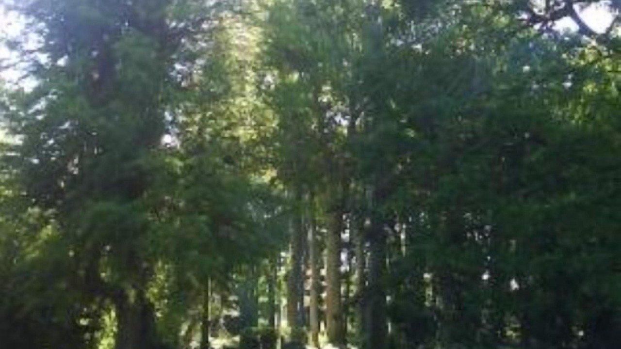 Photo of Outdoor in Miniac-Morvan