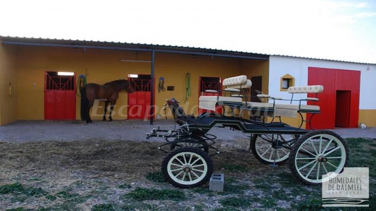 Photo of Outdoor in Daimiel
