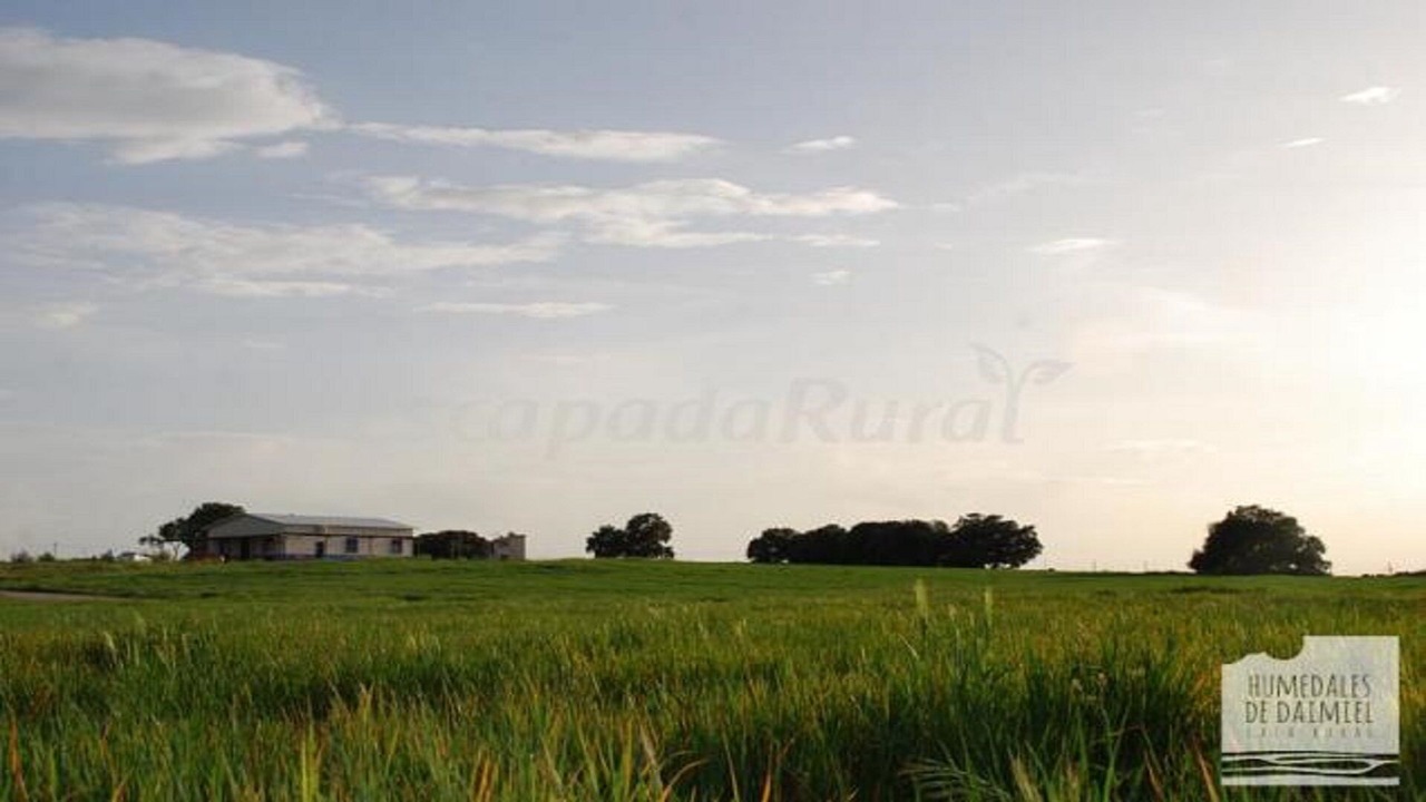 Photo of Outdoor in Daimiel