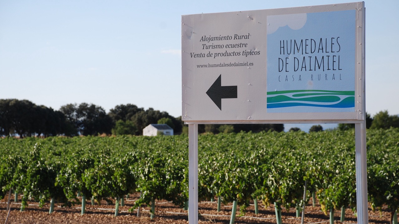 Photo of Outdoor in Daimiel