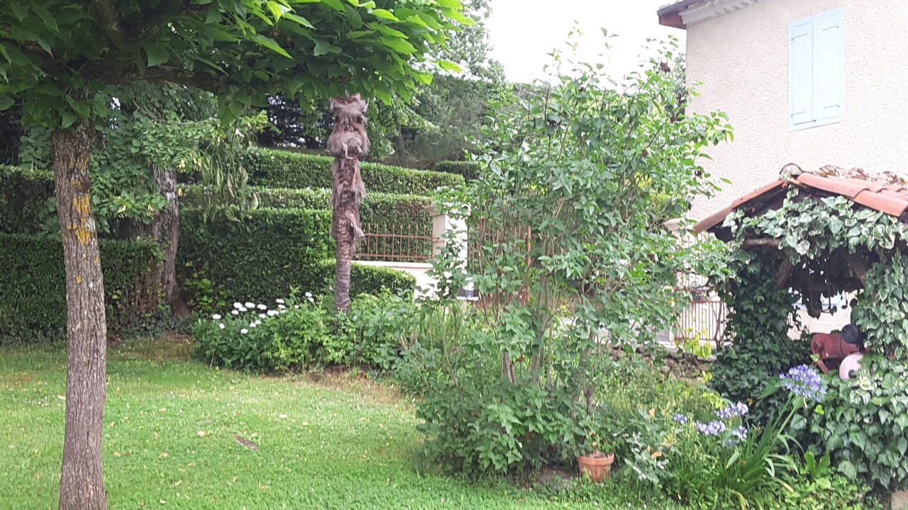 Photo of Outdoor in Organ