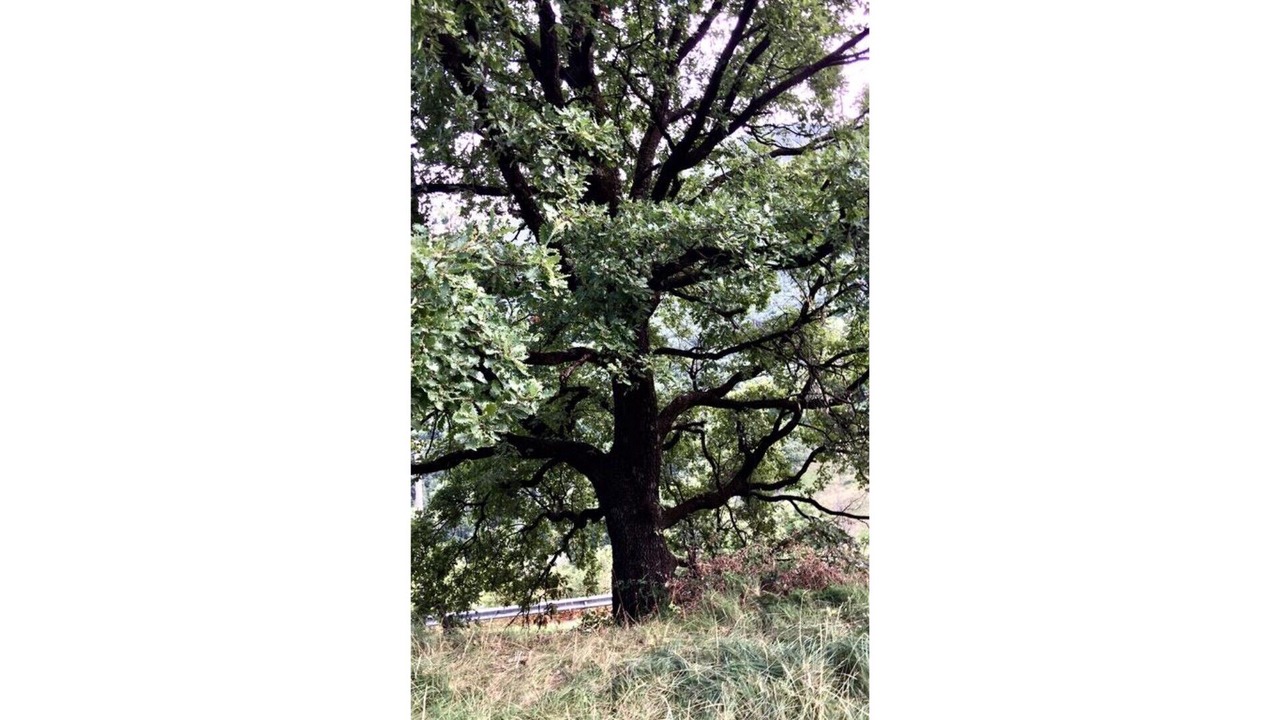 Photo of Outdoor in Sarroca de Bellera
