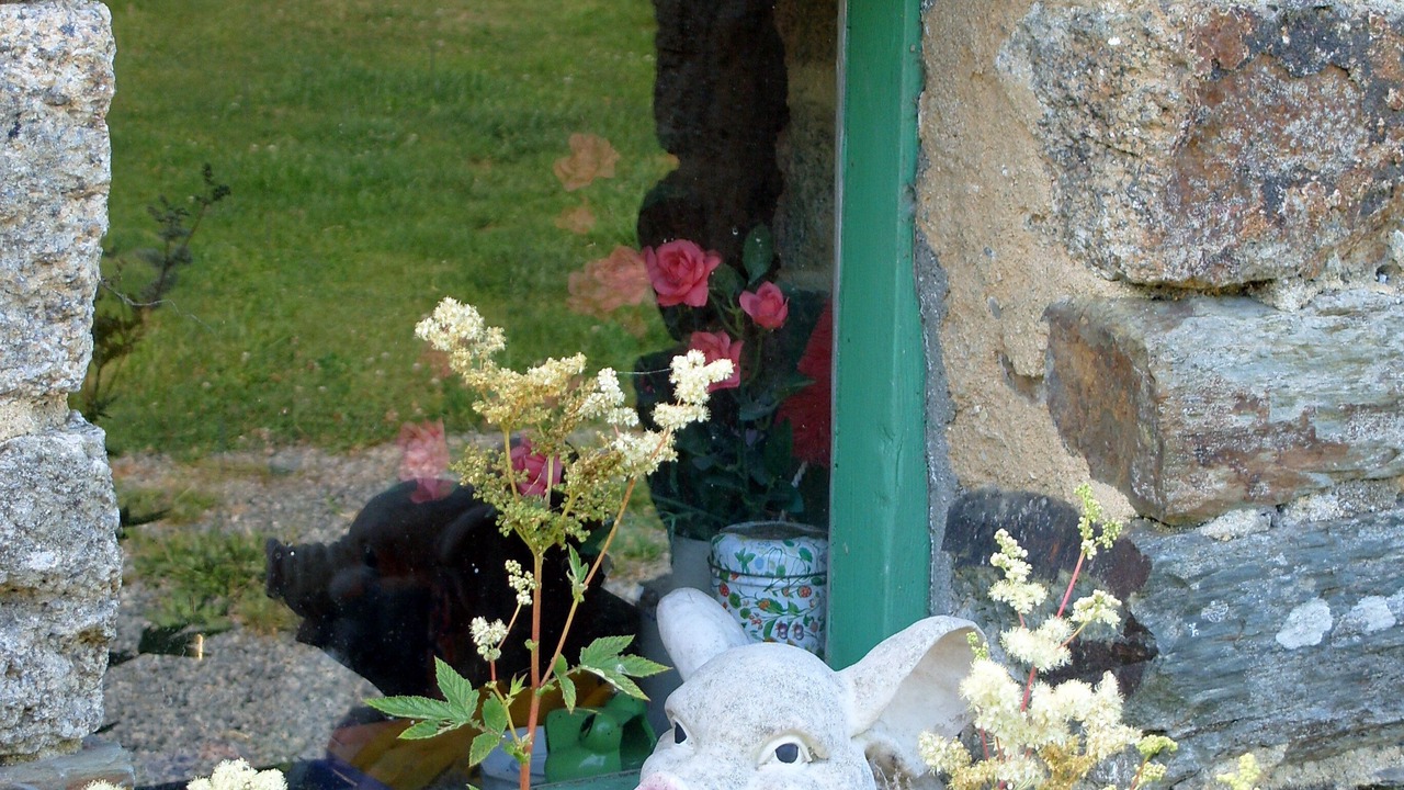 Photo of Outdoor in Saint-Dolay