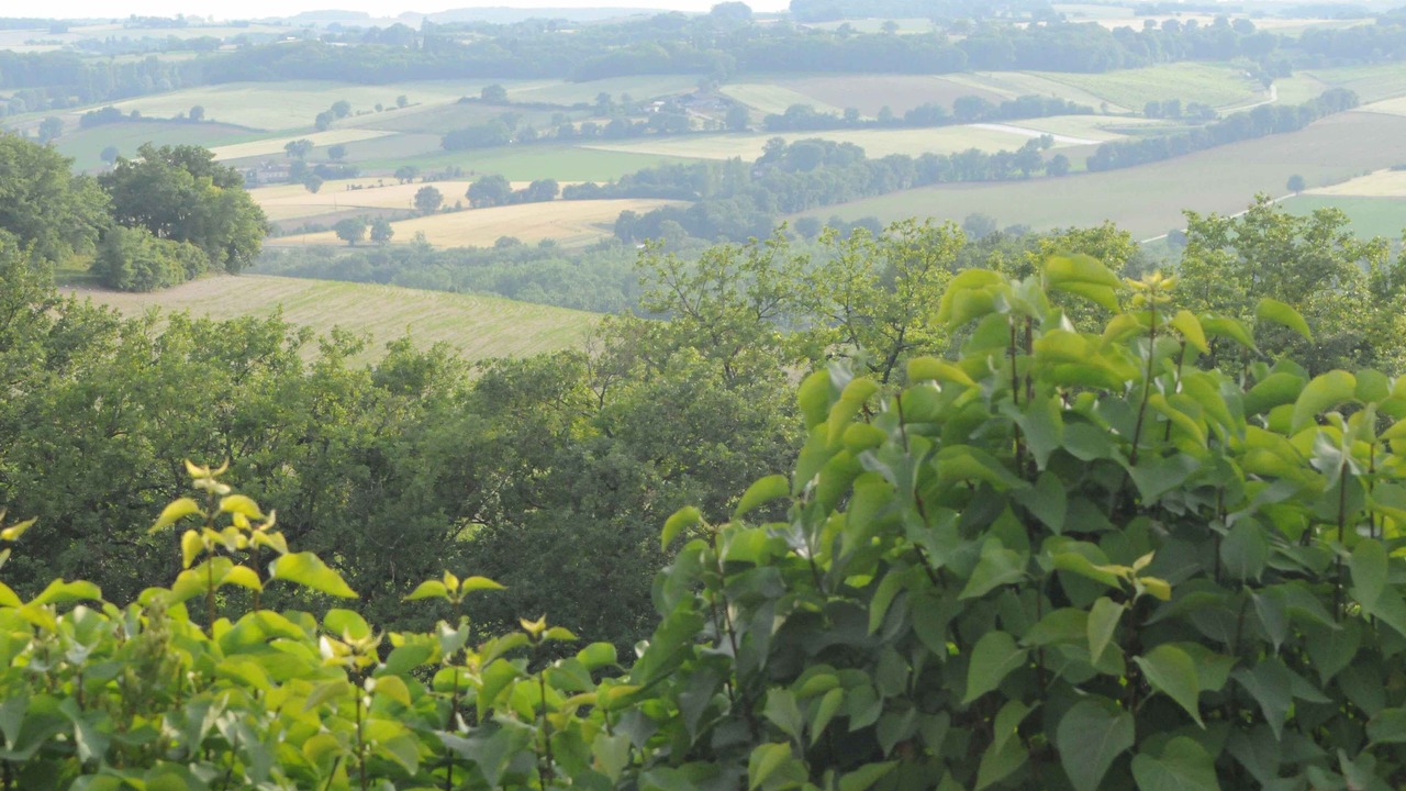 Photo of Outdoor in Lectoure