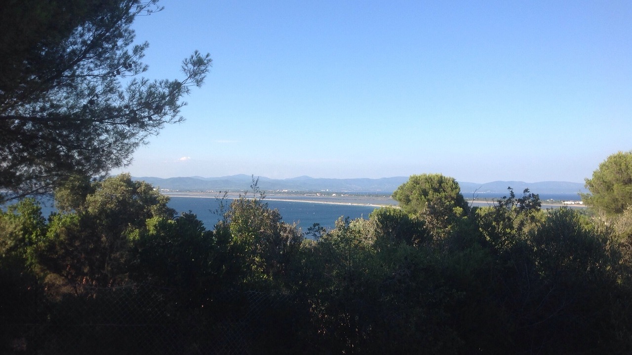 Photo of Others in Giens