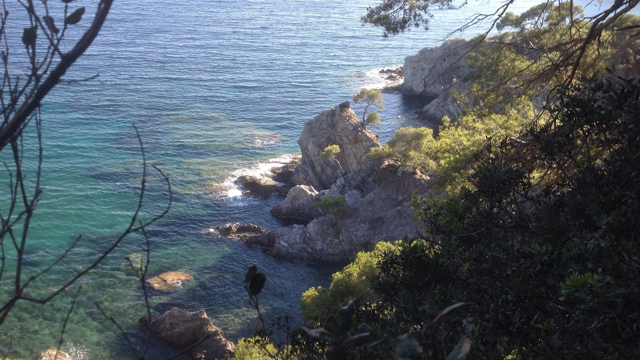 Photo of Others in Giens