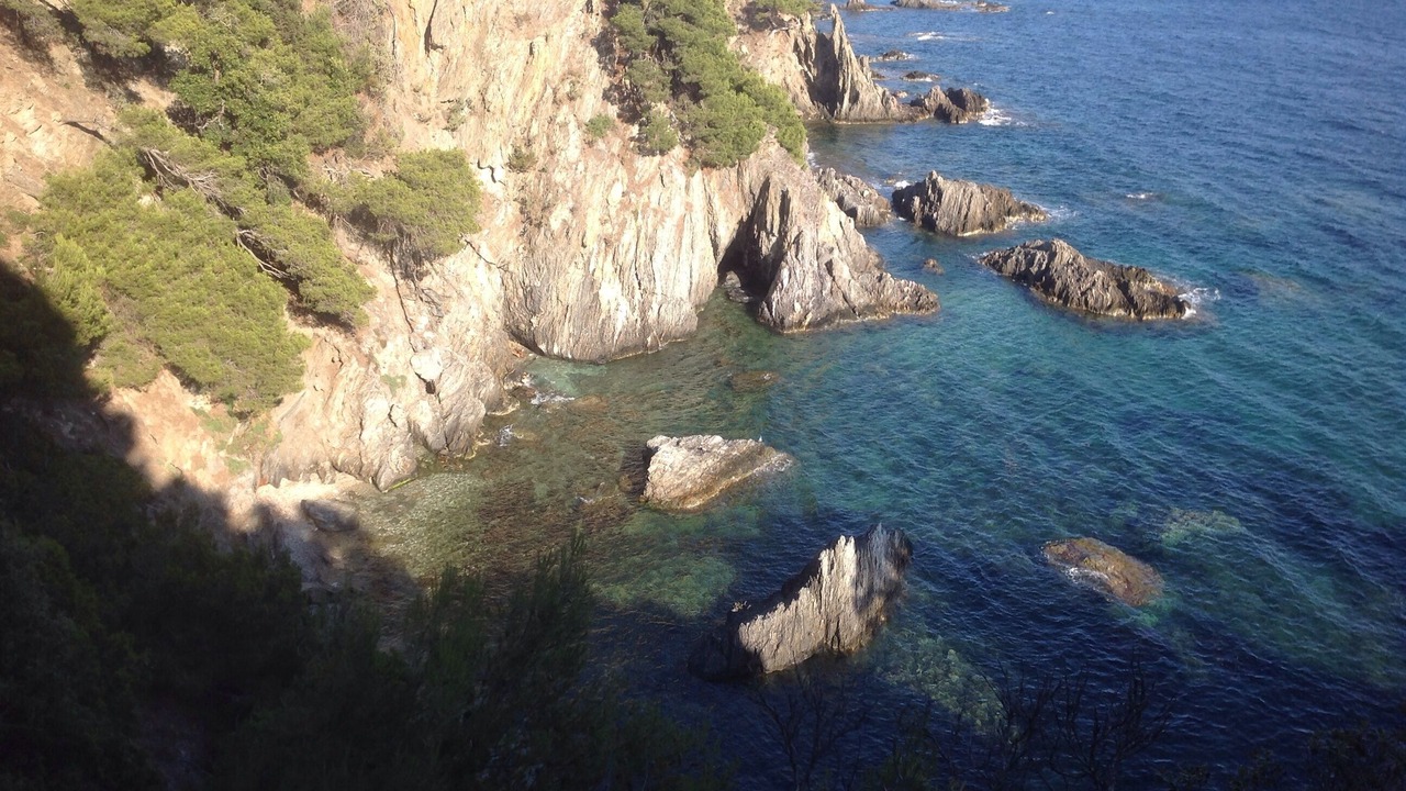 Photo of Others in Giens