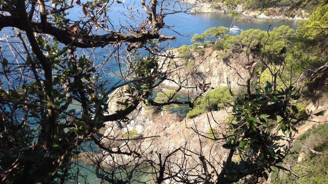 Photo of Outdoor in Giens