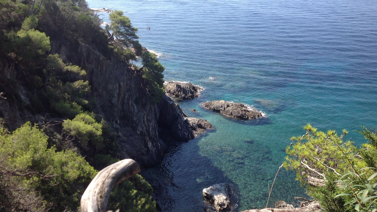 Photo of Others in Giens
