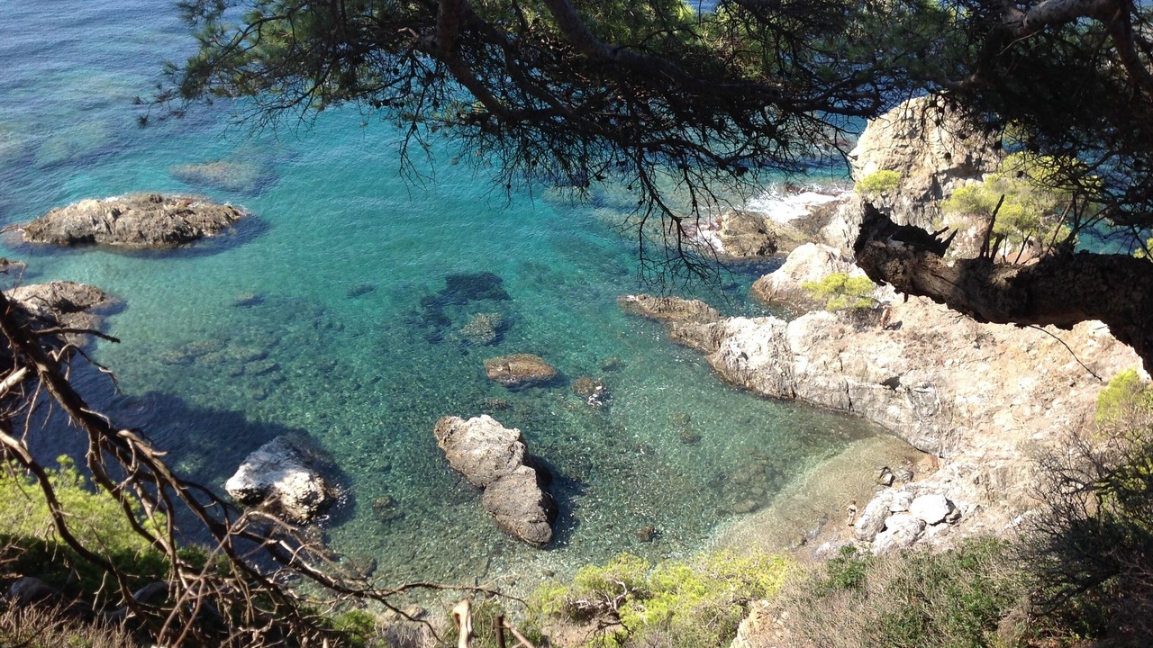 Photo of Others in Giens