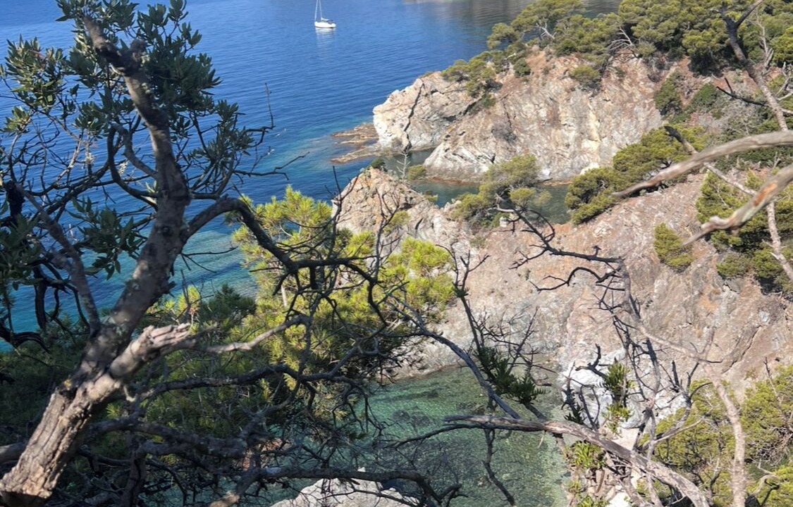 Photo of Others in Giens
