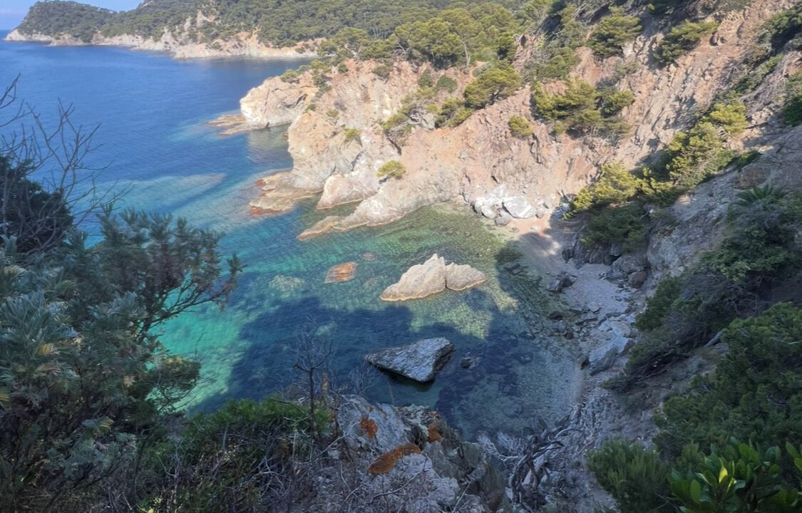 Photo of Others in Giens