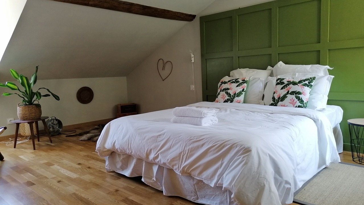 Photo of Bedroom in Montsoreau