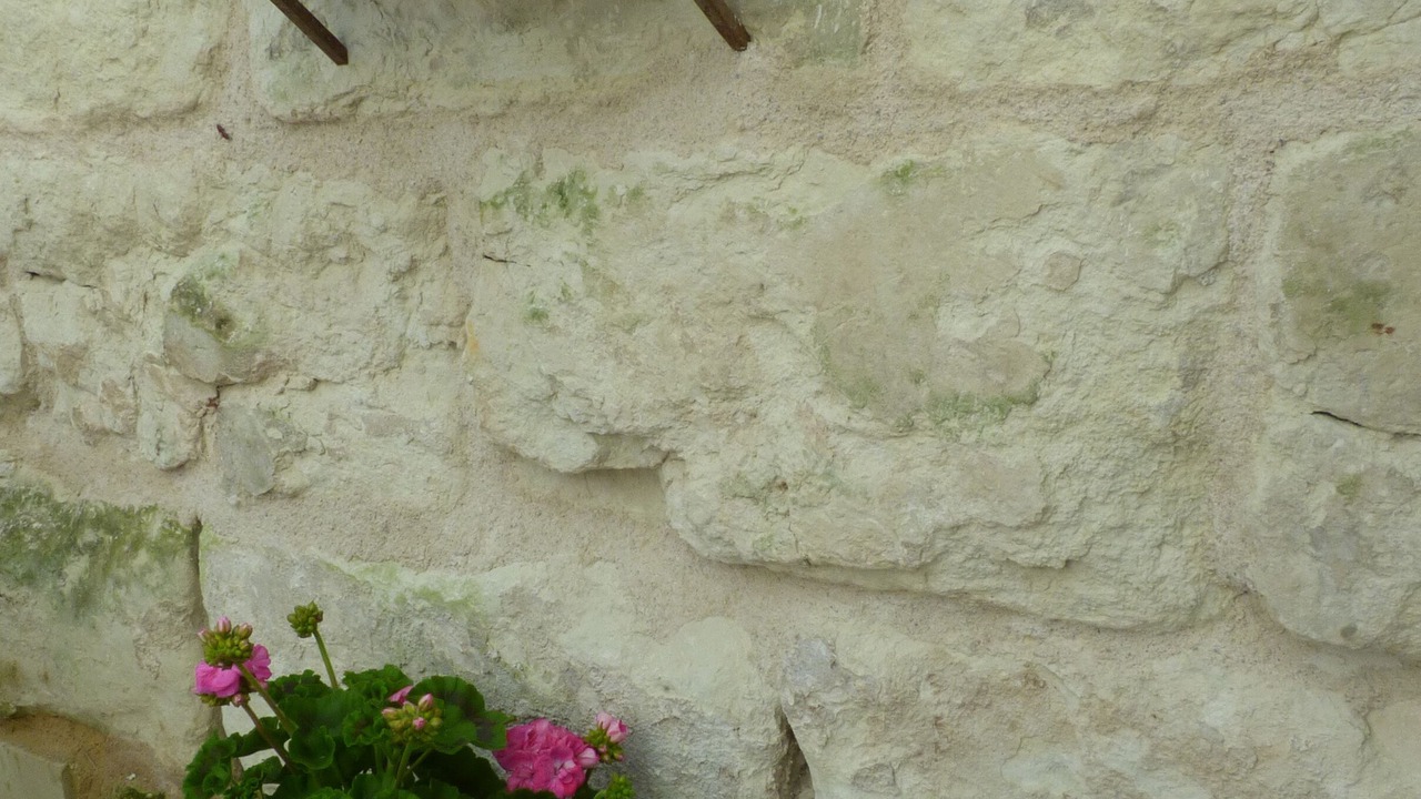 Photo of Others in Montsoreau