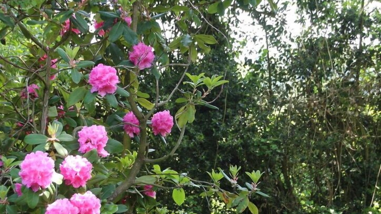 Photo of Outdoor in Pennedepie