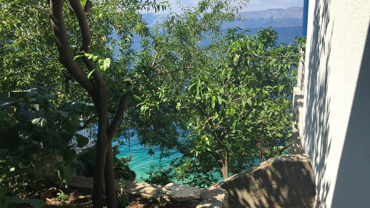 Photo of Outdoor in Trpanj