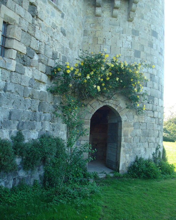Photo of Others in Frechou