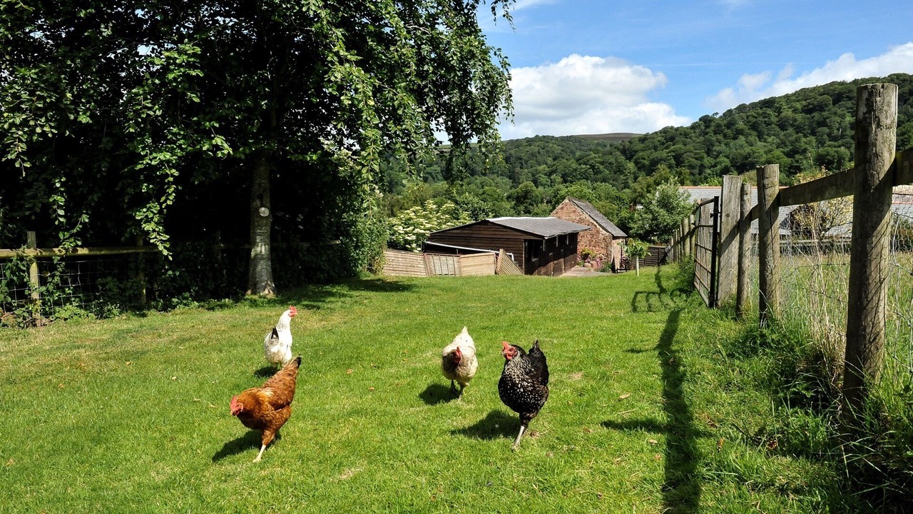Photo of Outdoor in Crowcombe
