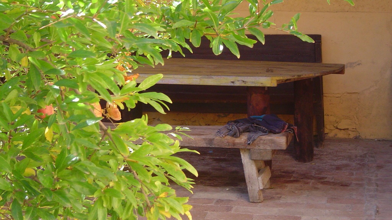 Photo of Patio Balcony in Banyeres del Penedes