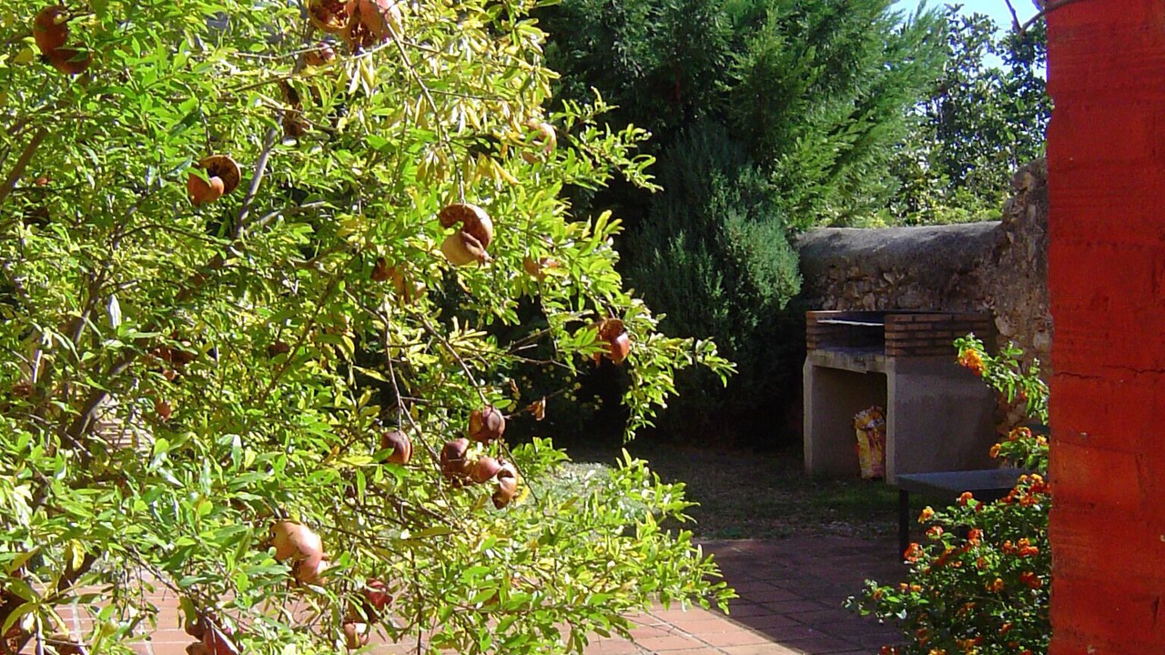 Photo of Outdoor in Banyeres del Penedes